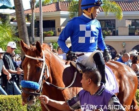 del mar betting|Wagering Menu .